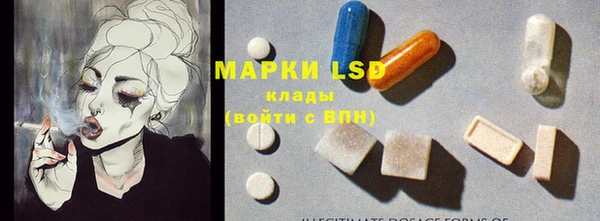 молекула духа Михайлов